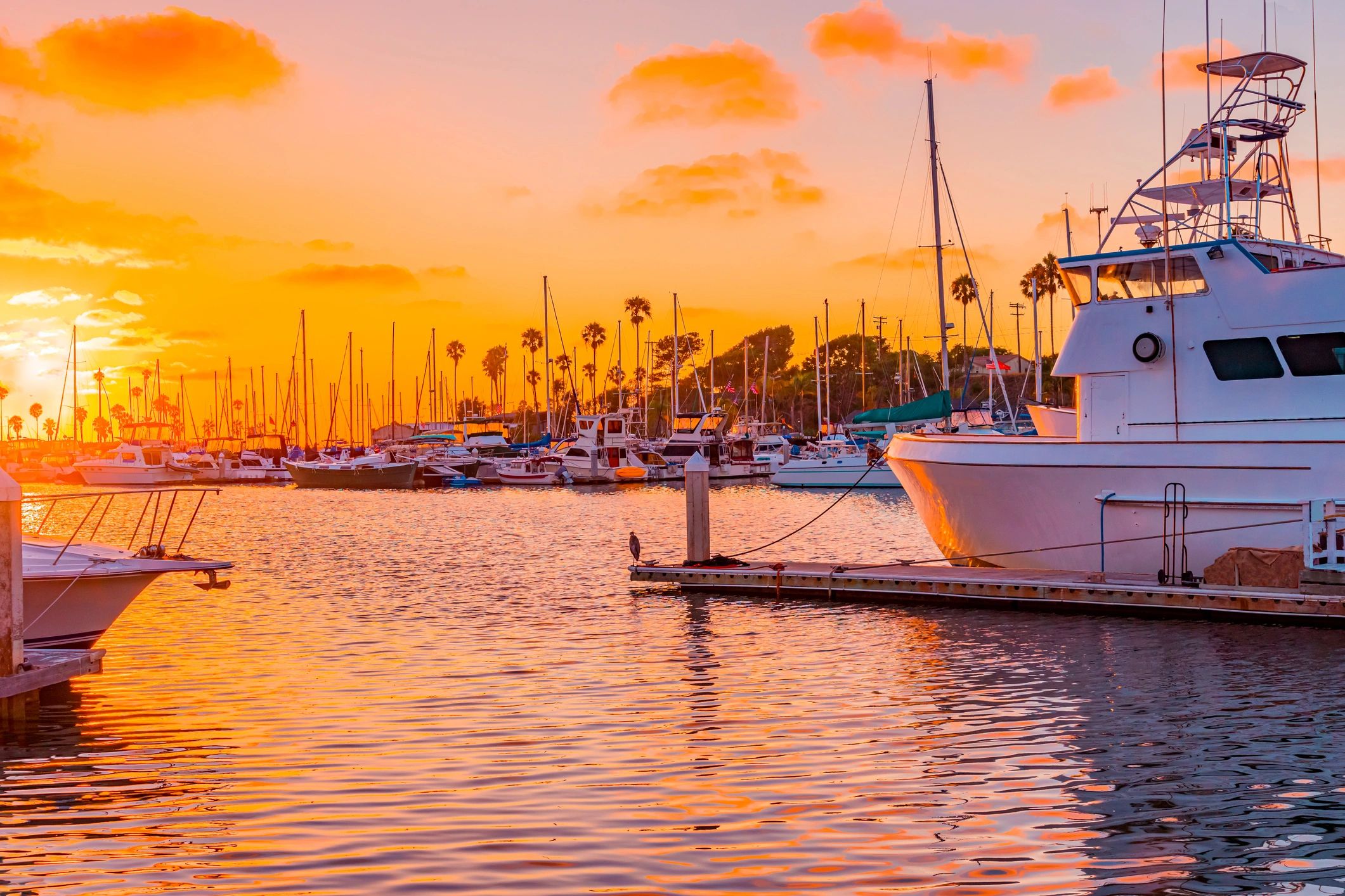 yacht at sunset California coast